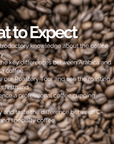Ride with Coffee: The Coffee Experience Workshop