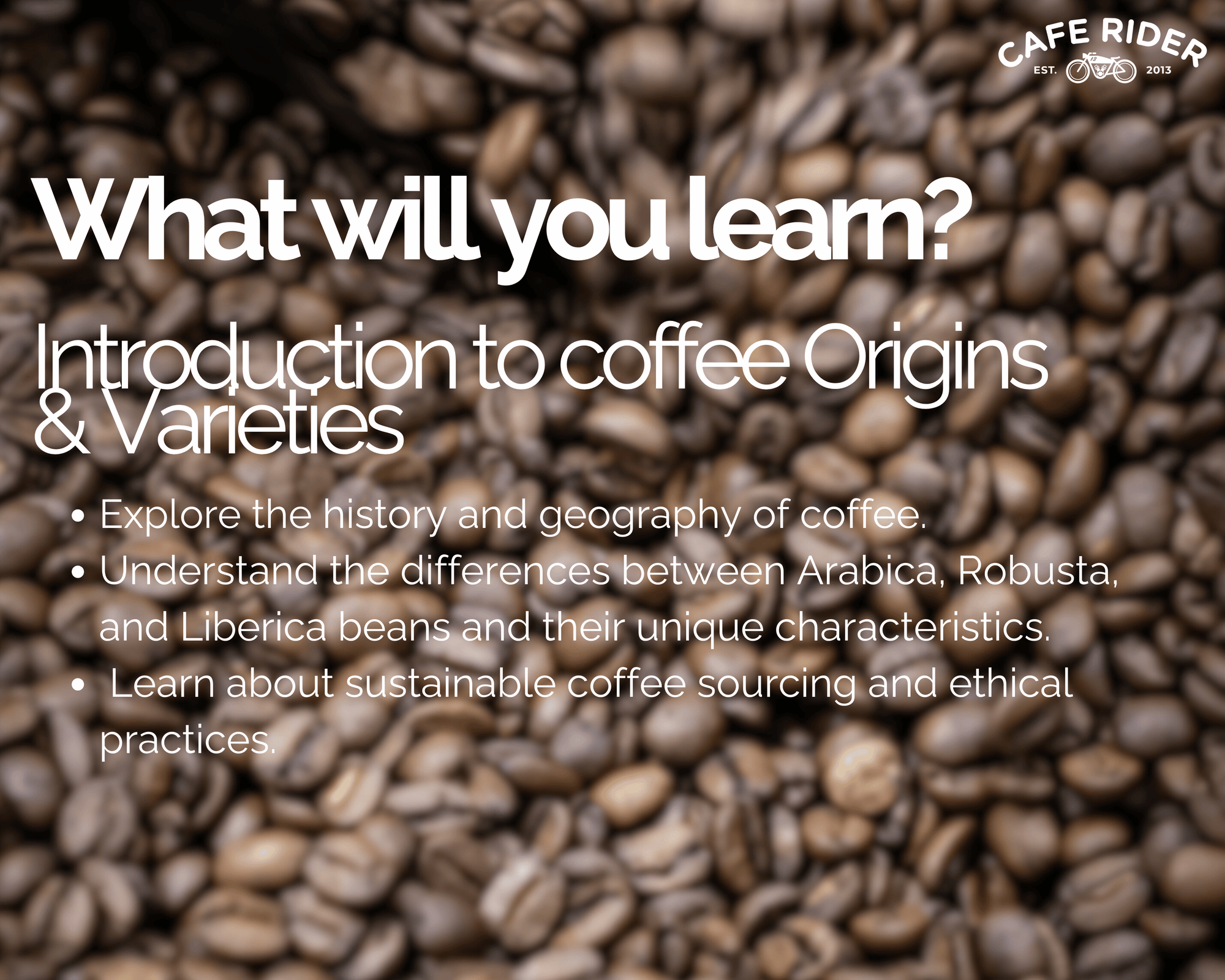 Barista Foundation: Barista Training