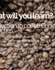 Barista Foundation: Barista Training