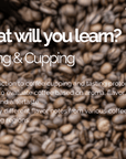 Barista Foundation: Barista Training