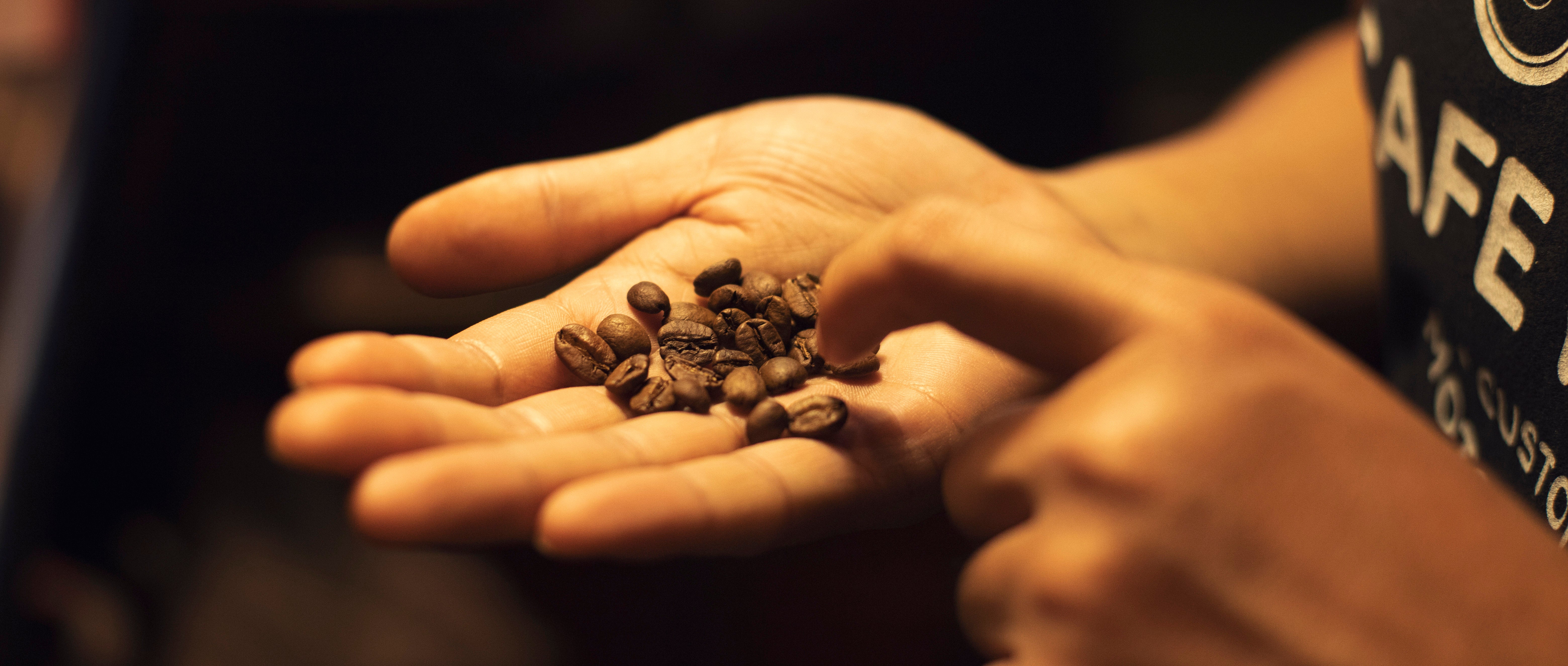 Cafe Rider Specialty Coffee in Dubai – Cafe Rider Custom